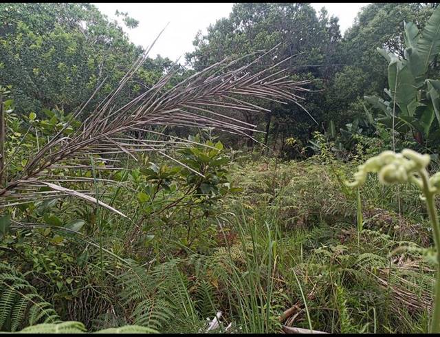 LAND FOR SALE IN PALM BEACH